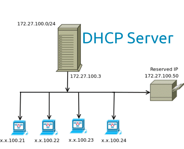 DHCP Service